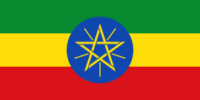 Ethiopia Vinasc group